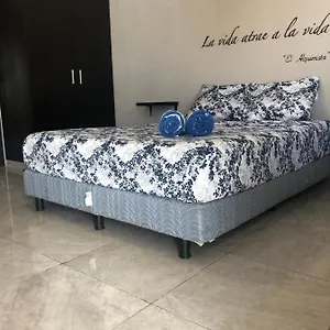 https://mayan-caribe-apart-hotel.quintano-roohotels.com